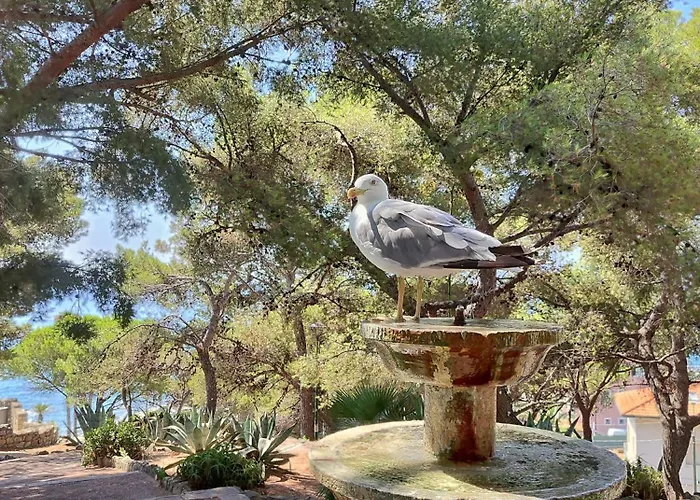 La Maddalena Bordighera